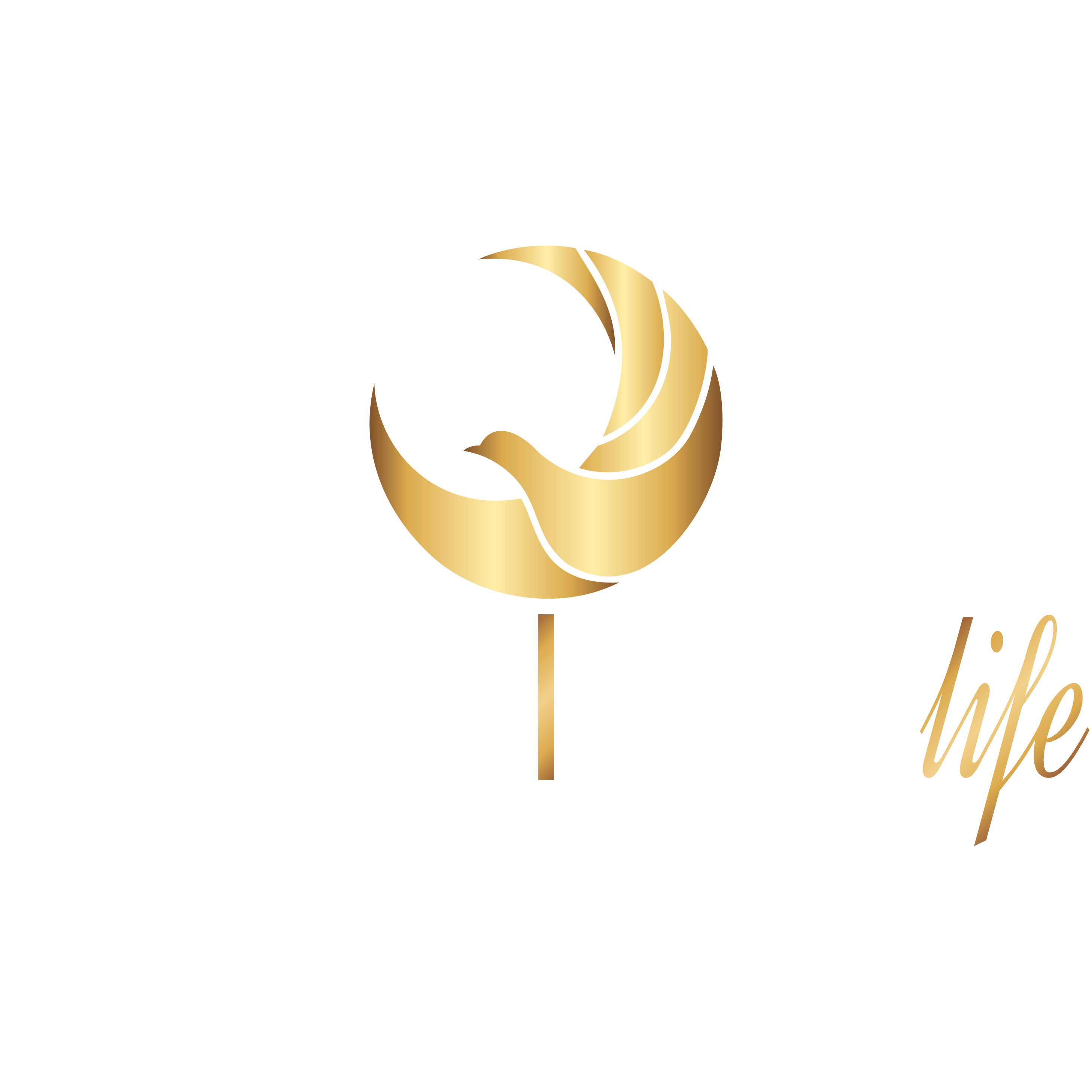 Tamira